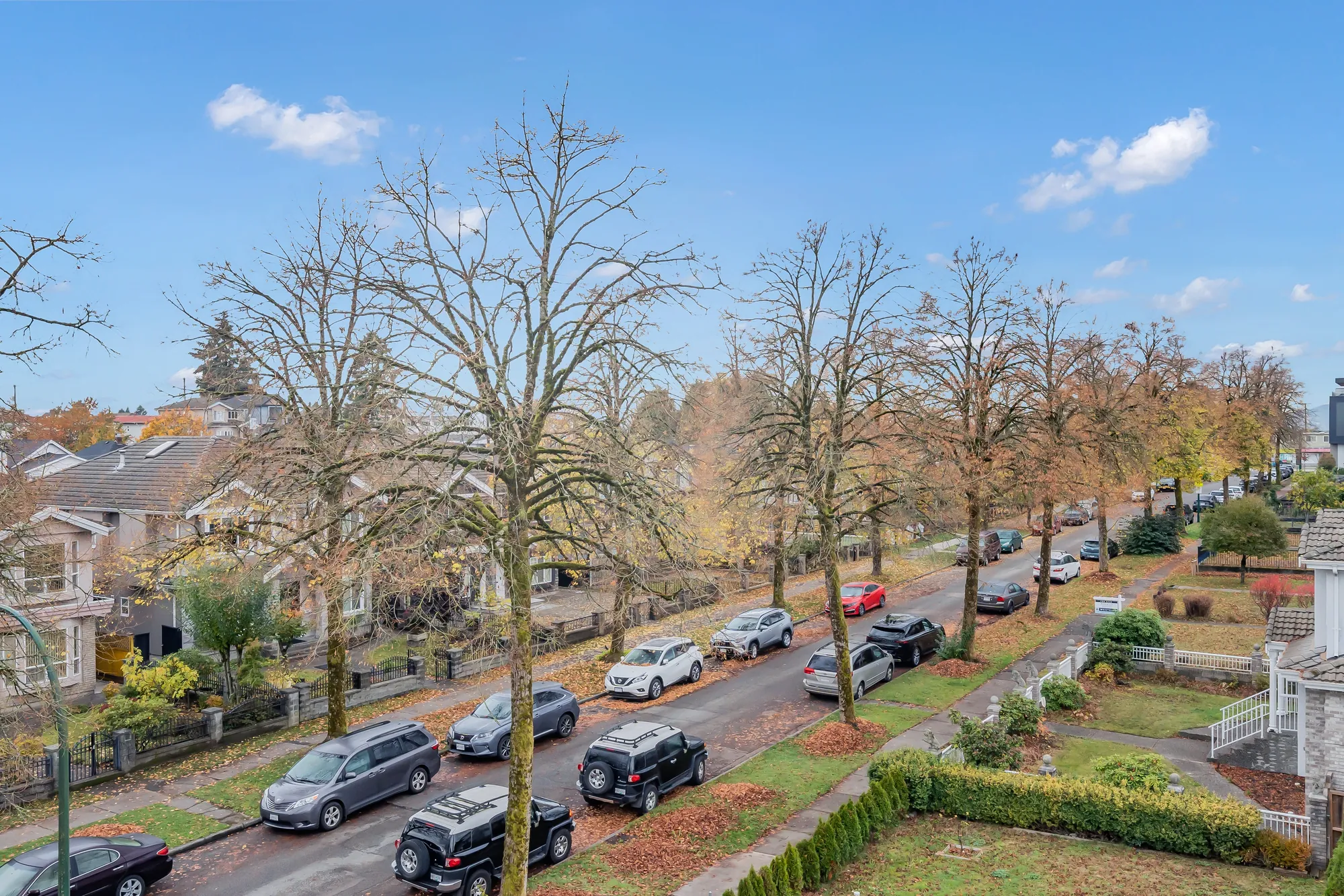 Looking down from the roof onto the street: parked cars, tall trees in autumn colour, the houses across